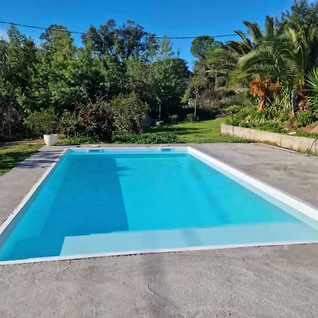 T2, Rez De Avec Piscine 別荘 アファ